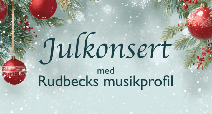 Skärmbild 2025-12-01 112719